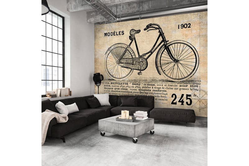 Valokuvatapetti Old School Bicycle 300x210 - Artgeist sp. z o. o. - Sisustustuotteet - Seinäkoristeet - Tapetit - Valokuvatapetit