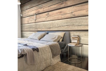 Valokuvatapetti Old Pine 100x70