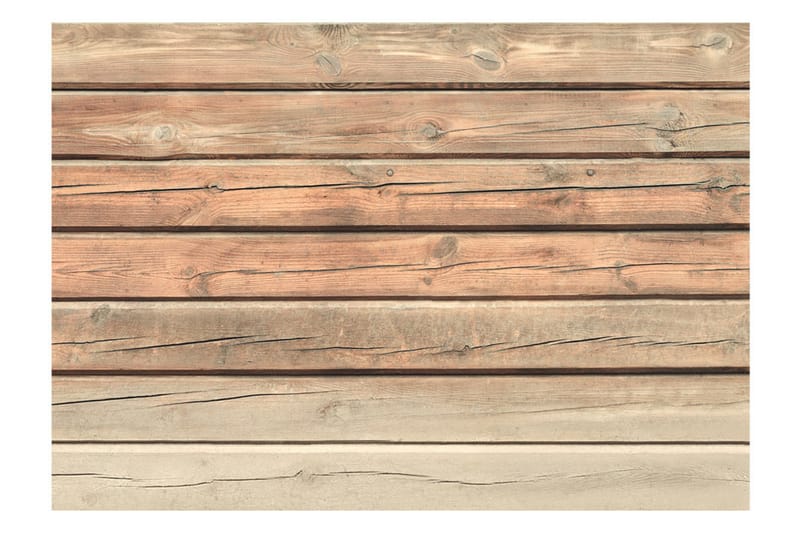 Valokuvatapetti Old Pine 350x245 - Artgeist sp. z o. o. - Sisustustuotteet - Seinäkoristeet - Tapetit - Valokuvatapetit