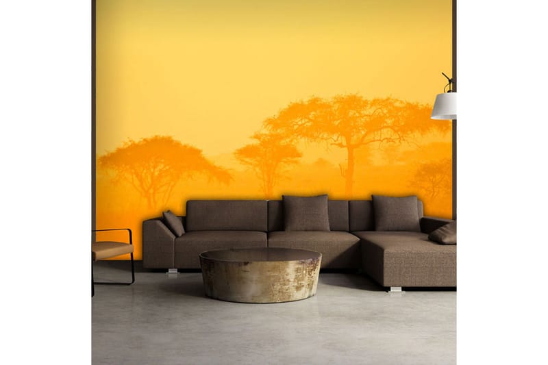Valokuvatapetti Orange Savanna 400x309 - Artgeist sp. z o. o. - Sisustustuotteet - Seinäkoristeet - Tapetit - Valokuvatapetit