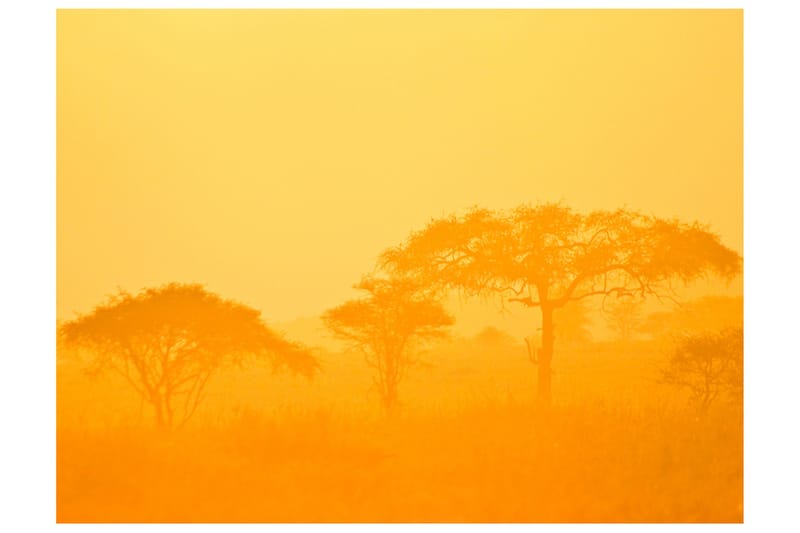 Valokuvatapetti Orange Savanna 400x309, Artgeist sp. z o. o.