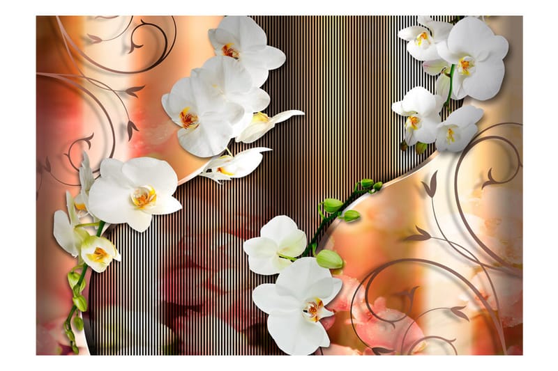 Valokuvatapetti Orchid 100x70 - Artgeist sp. z o. o. - Sisustustuotteet - Seinäkoristeet - Tapetit - Valokuvatapetit