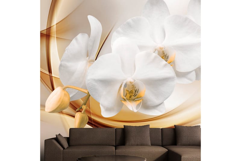 Valokuvatapetti Orchid Blossom 100x70 - Artgeist sp. z o. o. - Sisustustuotteet - Seinäkoristeet - Tapetit - Valokuvatapetit