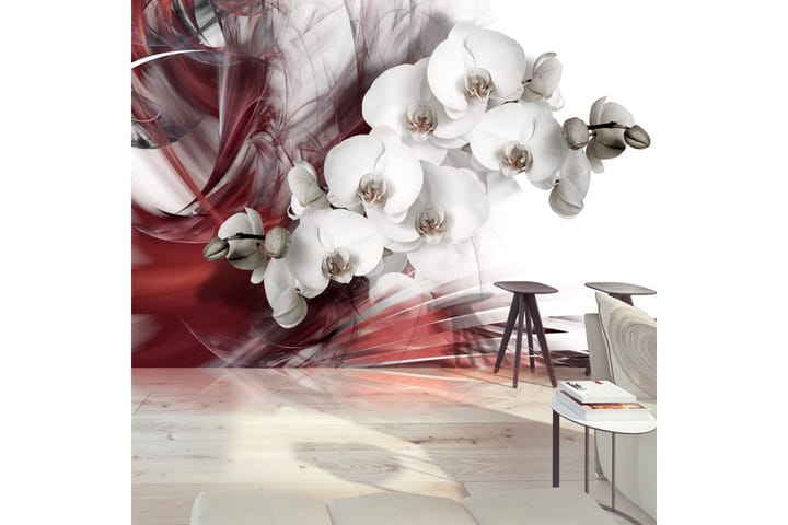 Valokuvatapetti Orchid In Red 150x105 - Artgeist sp. z o. o. - Valokuvatapetit
