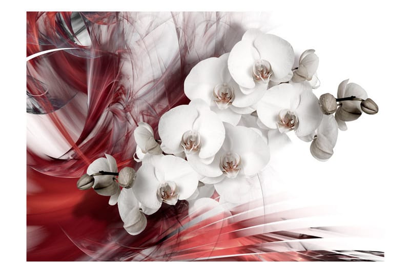 Valokuvatapetti Orchid In Red 150x105 - Artgeist sp. z o. o. - Sisustustuotteet - Seinäkoristeet - Tapetit - Valokuvatapetit