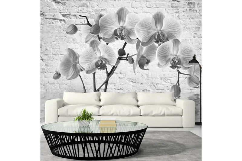 Valokuvatapetti Orchid In Shades Of Gray 350x245, Artgeist sp. z o. o.