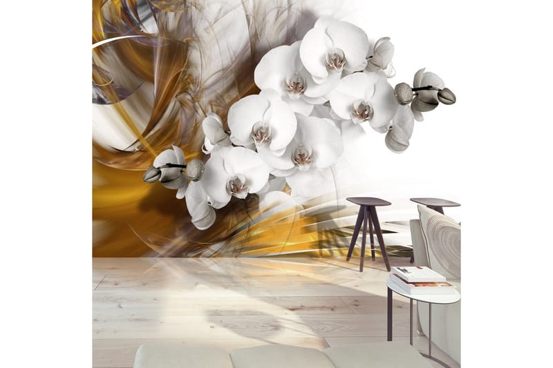 Valokuvatapetti Orchid On Fire 200x140, Artgeist sp. z o. o.
