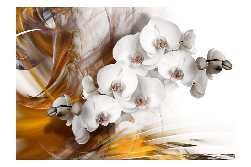 Valokuvatapetti Orchid On Fire 400x280 - Artgeist sp. z o. o. - Sisustustuotteet - Seinäkoristeet - Tapetit - Valokuvatapetit