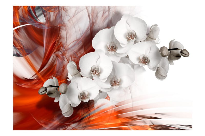 Valokuvatapetti Orchid On Fire II 250x175 - Artgeist sp. z o. o. - Sisustustuotteet - Seinäkoristeet - Tapetit - Valokuvatapetit