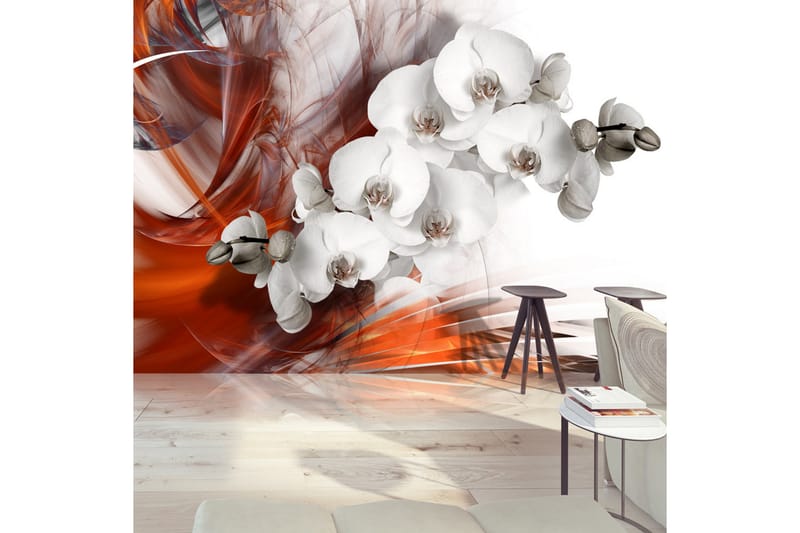 Valokuvatapetti Orchid On Fire II 250x175 - Artgeist sp. z o. o. - Sisustustuotteet - Seinäkoristeet - Tapetit - Valokuvatapetit