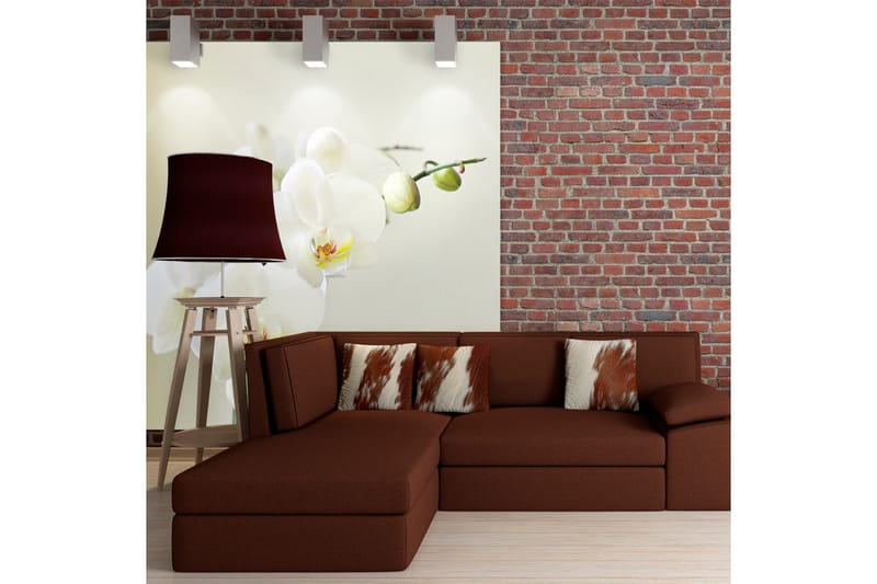 Valokuvatapetti Orchid Valkoinen 200x154, Artgeist sp. z o. o.