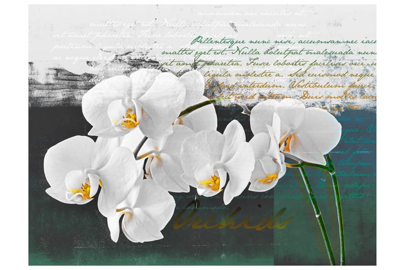Valokuvatapetti Orchid Poet Inspiration 250x193, Artgeist sp. z o. o.