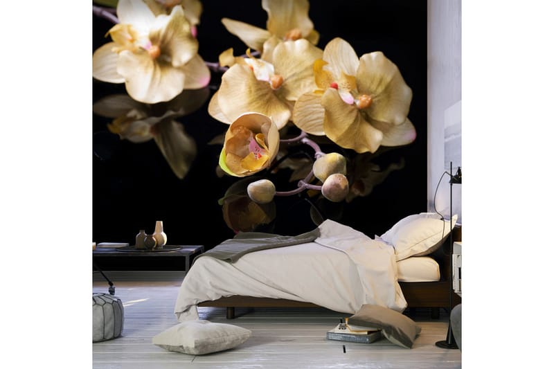 Valokuvatapetti Orchids In Ecru Color 250x193, Artgeist sp. z o. o.