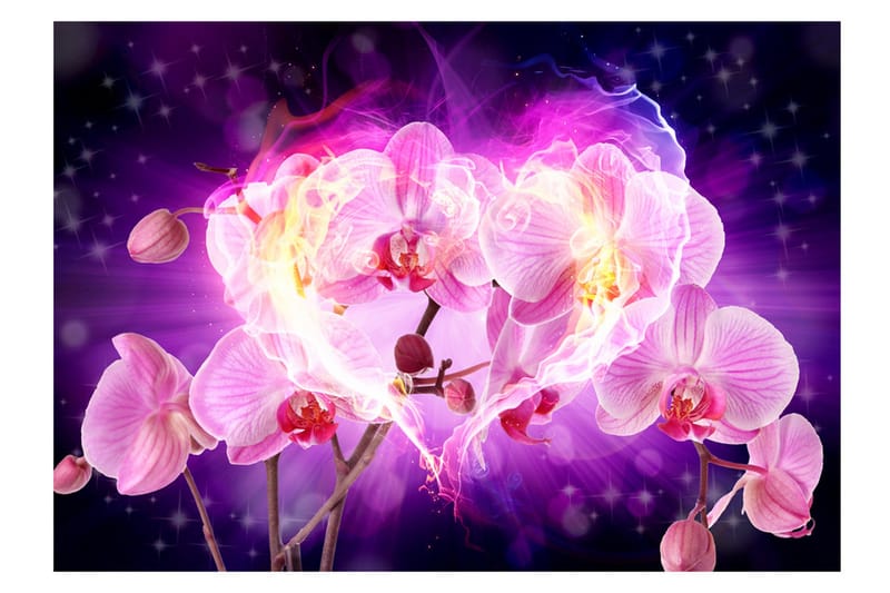 Valokuvatapetti Orchids In Flames 200x140 - Artgeist sp. z o. o. - Sisustustuotteet - Seinäkoristeet - Tapetit - Valokuvatapetit