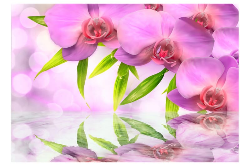 Valokuvatapetti Orchids In Lilac Colour 400x280 - Artgeist sp. z o. o. - Sisustustuotteet - Seinäkoristeet - Tapetit - Valokuvatapetit