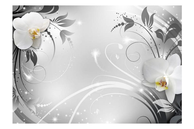 Valokuvatapetti Orchids On Silver 250x175 - Artgeist sp. z o. o. - Sisustustuotteet - Seinäkoristeet - Tapetit - Valokuvatapetit
