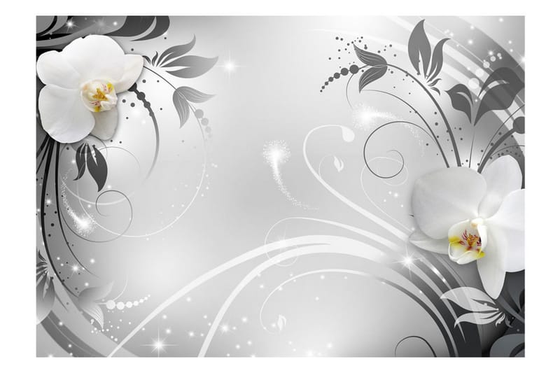 Valokuvatapetti Orchids On Silver 300x210 - Artgeist sp. z o. o. - Sisustustuotteet - Seinäkoristeet - Tapetit - Valokuvatapetit