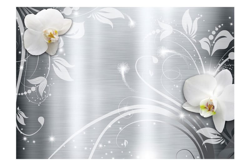 Valokuvatapetti Orchids On Steel 300x210 - Artgeist sp. z o. o. - Sisustustuotteet - Seinäkoristeet - Tapetit - Valokuvatapetit