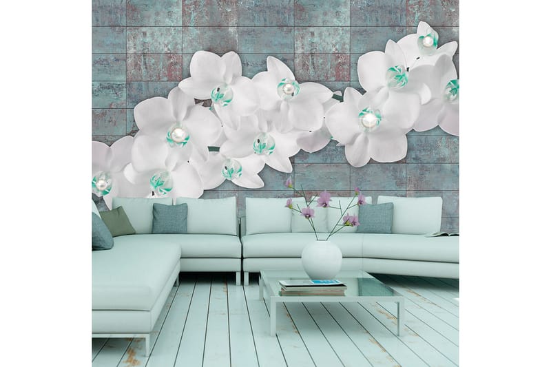 Valokuvatapetti Orchids With Pearls 200x140, Artgeist sp. z o. o.