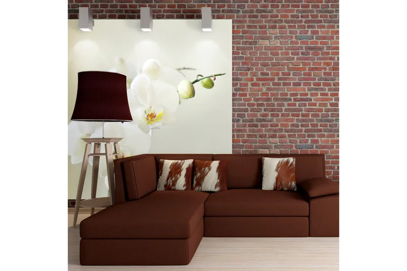 Valokuvatapetti Orchidwhite 300x231, Artgeist sp. z o. o.