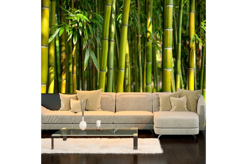 Valokuvatapetti Oriental Garden 350x245, Artgeist sp. z o. o.