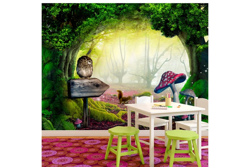 Valokuvatapetti Owlish Corner 100x70, Artgeist sp. z o. o.