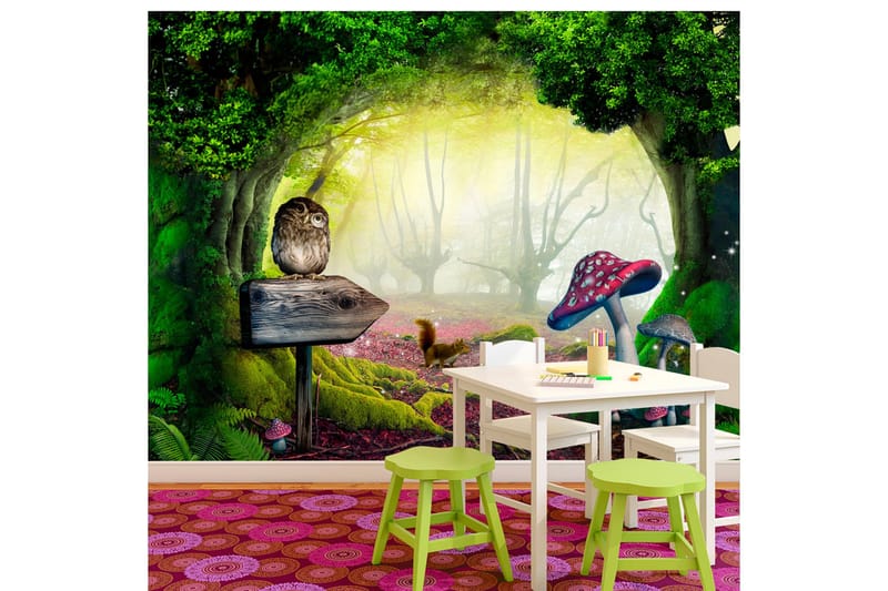 Valokuvatapetti Owlish Corner 350x245, Artgeist sp. z o. o.