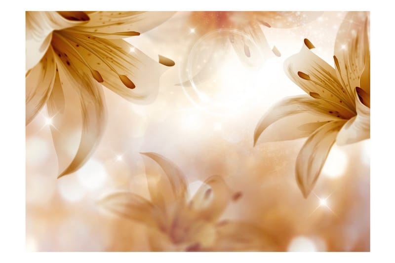 Valokuvatapetti Queens Of Summer 300x210 - Artgeist sp. z o. o. - Sisustustuotteet - Seinäkoristeet - Tapetit - Valokuvatapetit