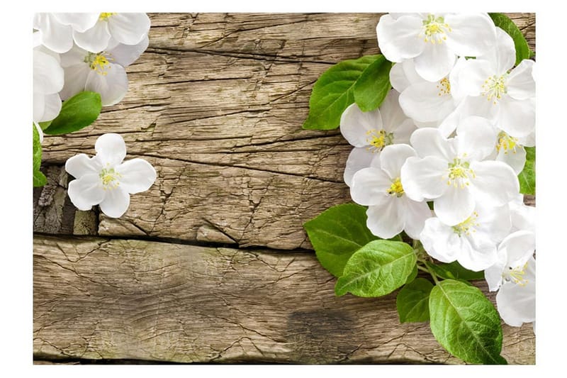 Valokuvatapetti Raw Beauty 300x210 - Artgeist sp. z o. o. - Sisustustuotteet - Seinäkoristeet - Tapetit - Valokuvatapetit