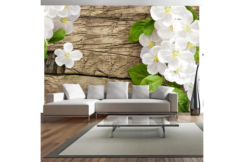 Valokuvatapetti Raw Beauty 300x210 - Artgeist sp. z o. o. - Sisustustuotteet - Seinäkoristeet - Tapetit - Valokuvatapetit