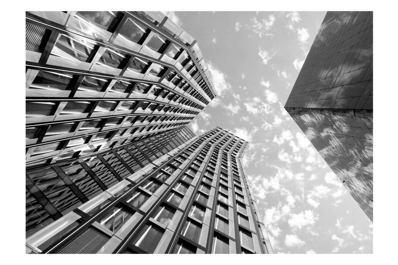 Valokuvatapetti Reach For The Sky 300x210 - Artgeist sp. z o. o. - Sisustustuotteet - Seinäkoristeet - Tapetit - Valokuvatapetit