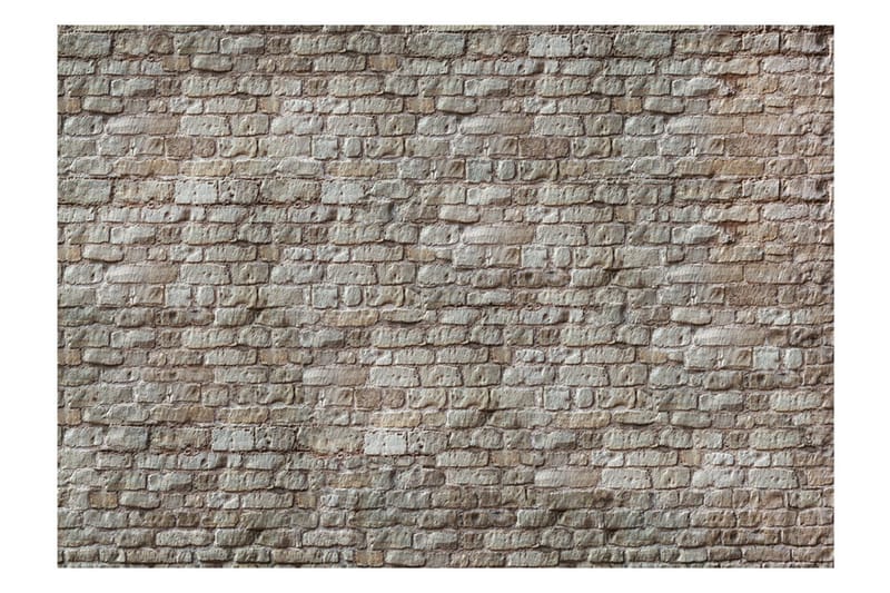 Valokuvatapetti Reality 300x210 - Artgeist sp. z o. o. - Sisustustuotteet - Seinäkoristeet - Tapetit - Valokuvatapetit