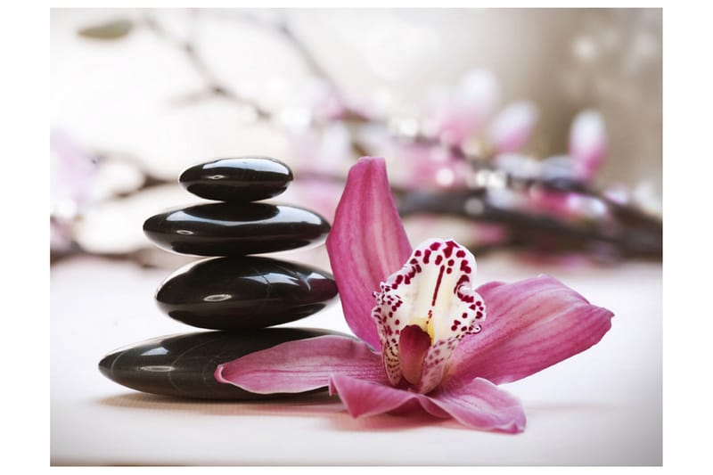 Valokuvatapetti Relaxation And Wellness 300x231 - Artgeist sp. z o. o. - Sisustustuotteet - Seinäkoristeet - Tapetit - Valokuvatapetit