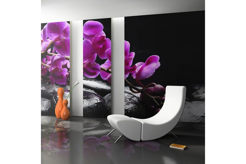 Valokuvatapetti Rentouttava Hetki Orkidea ja Kivet 450x270, Artgeist sp. z o. o.