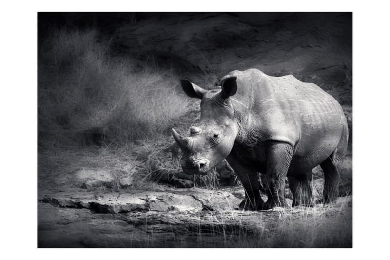 Valokuvatapetti Rhino Lost in Deams 400x309 - Artgeist sp. z o. o. - Sisustustuotteet - Seinäkoristeet - Tapetit - Valokuvatapetit
