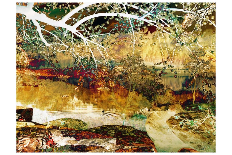 Valokuvatapetti River Of Life 300x231 - Artgeist sp. z o. o. - Sisustustuotteet - Seinäkoristeet - Tapetit - Valokuvatapetit