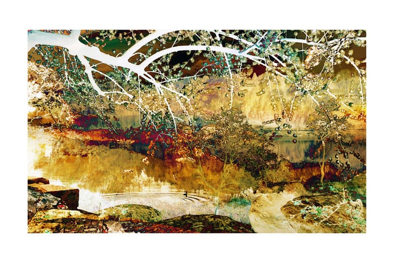 Valokuvatapetti River Of Life 450x270 - Artgeist sp. z o. o. - Sisustustuotteet - Seinäkoristeet - Tapetit - Valokuvatapetit