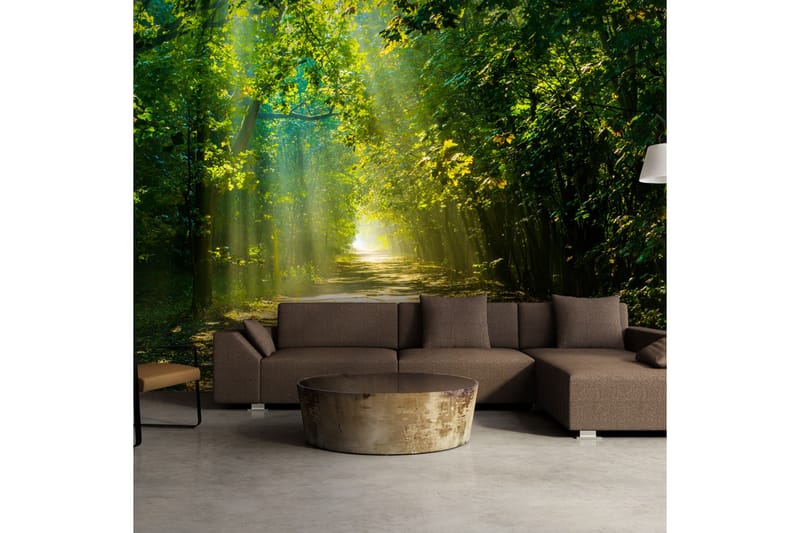 Valokuvatapetti Road In Sunlight 400x280 - Artgeist sp. z o. o. - Sisustustuotteet - Seinäkoristeet - Tapetit - Valokuvatapetit