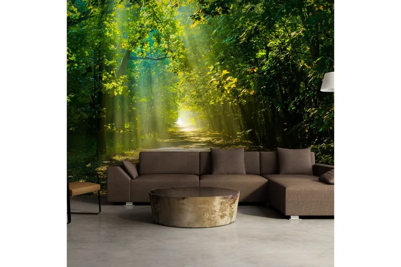 Valokuvatapetti Road In Sunlight 400x280 - Artgeist sp. z o. o. - Sisustustuotteet - Seinäkoristeet - Tapetit - Valokuvatapetit