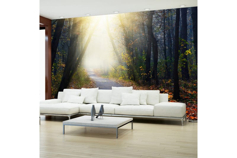 Valokuvatapetti Road Through The Forest 300x210 - Artgeist sp. z o. o. - Sisustustuotteet - Seinäkoristeet - Tapetit - Valokuvatapetit