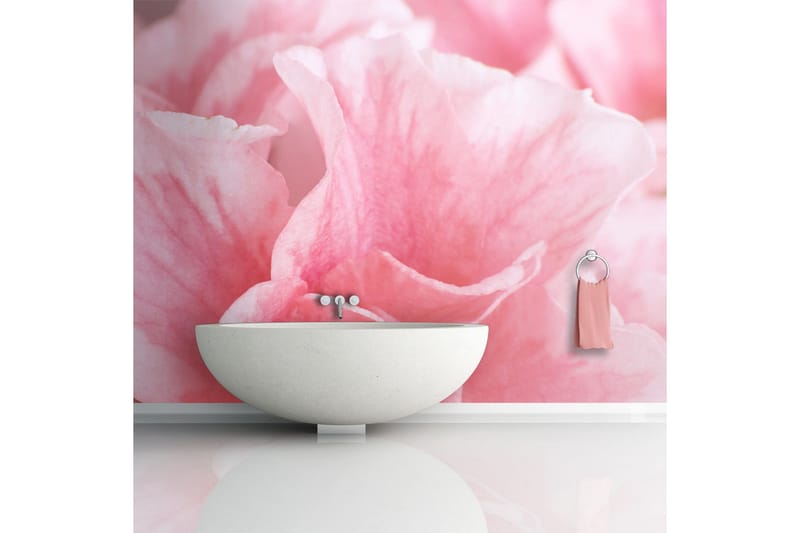 Valokuvatapetti Roosat Atsalean kukat 350x270 - Artgeist sp. z o. o. - Sisustustuotteet - Seinäkoristeet - Tapetit - Valokuvatapetit