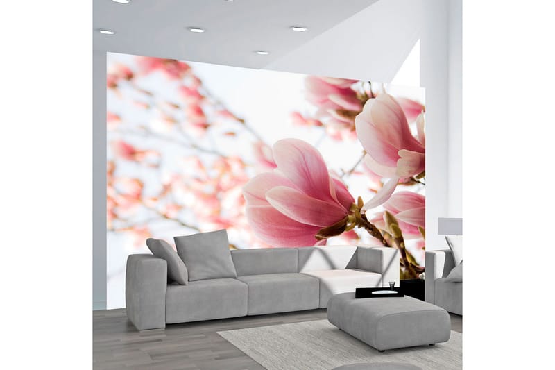 Valokuvatapetti Rosa Magnolia 300x231 - Artgeist sp. z o. o. - Sisustustuotteet - Seinäkoristeet - Tapetit - Valokuvatapetit