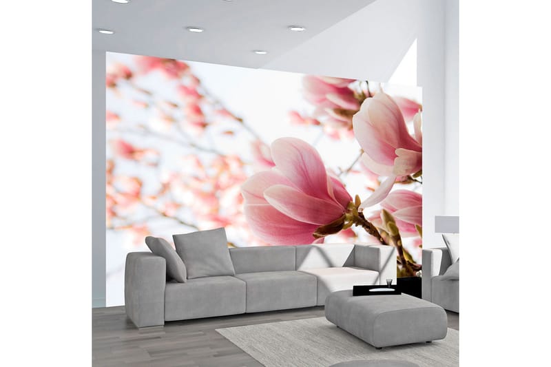 Valokuvatapetti Rosa Magnolia 400x309, Artgeist sp. z o. o.