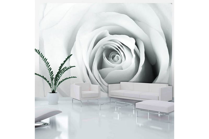 Valokuvatapetti Rose Charade 200x140, Artgeist sp. z o. o.