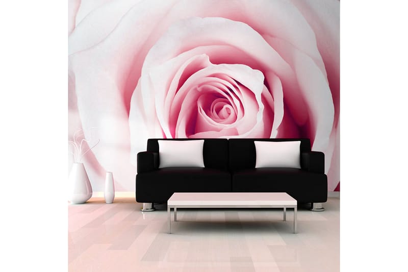 Valokuvatapetti Rose Maze 250x175, Artgeist sp. z o. o.
