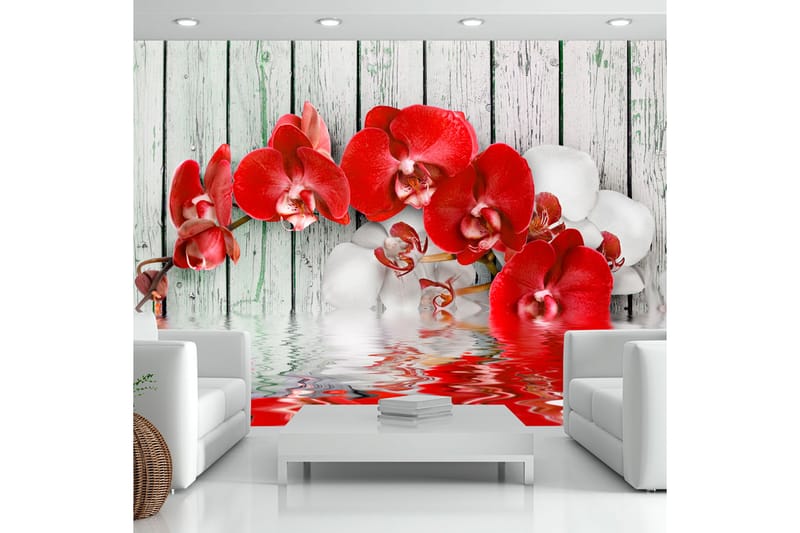 Valokuvatapetti Ruby Orchid 250x175 - Artgeist sp. z o. o. - Sisustustuotteet - Seinäkoristeet - Tapetit - Valokuvatapetit