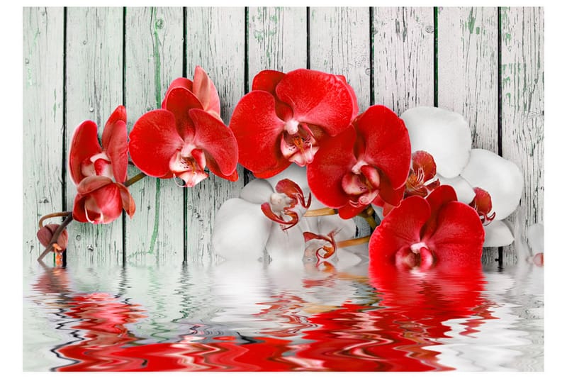 Valokuvatapetti Ruby Orchid 250x175 - Artgeist sp. z o. o. - Sisustustuotteet - Seinäkoristeet - Tapetit - Valokuvatapetit