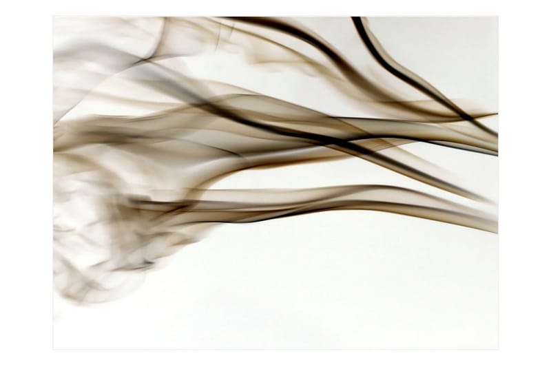 Valokuvatapetti Savu Abstrakti 250x193, Artgeist sp. z o. o.