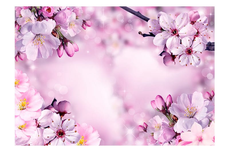 Valokuvatapetti Say Hello To Spring 150x105 - Artgeist sp. z o. o. - Sisustustuotteet - Seinäkoristeet - Tapetit - Valokuvatapetit