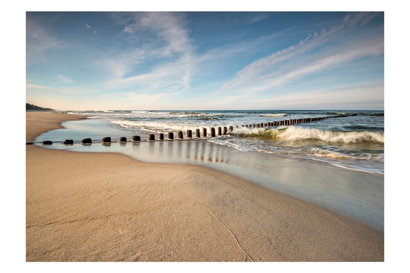 Valokuvatapetti Sea Breeze 250x175, Artgeist sp. z o. o.